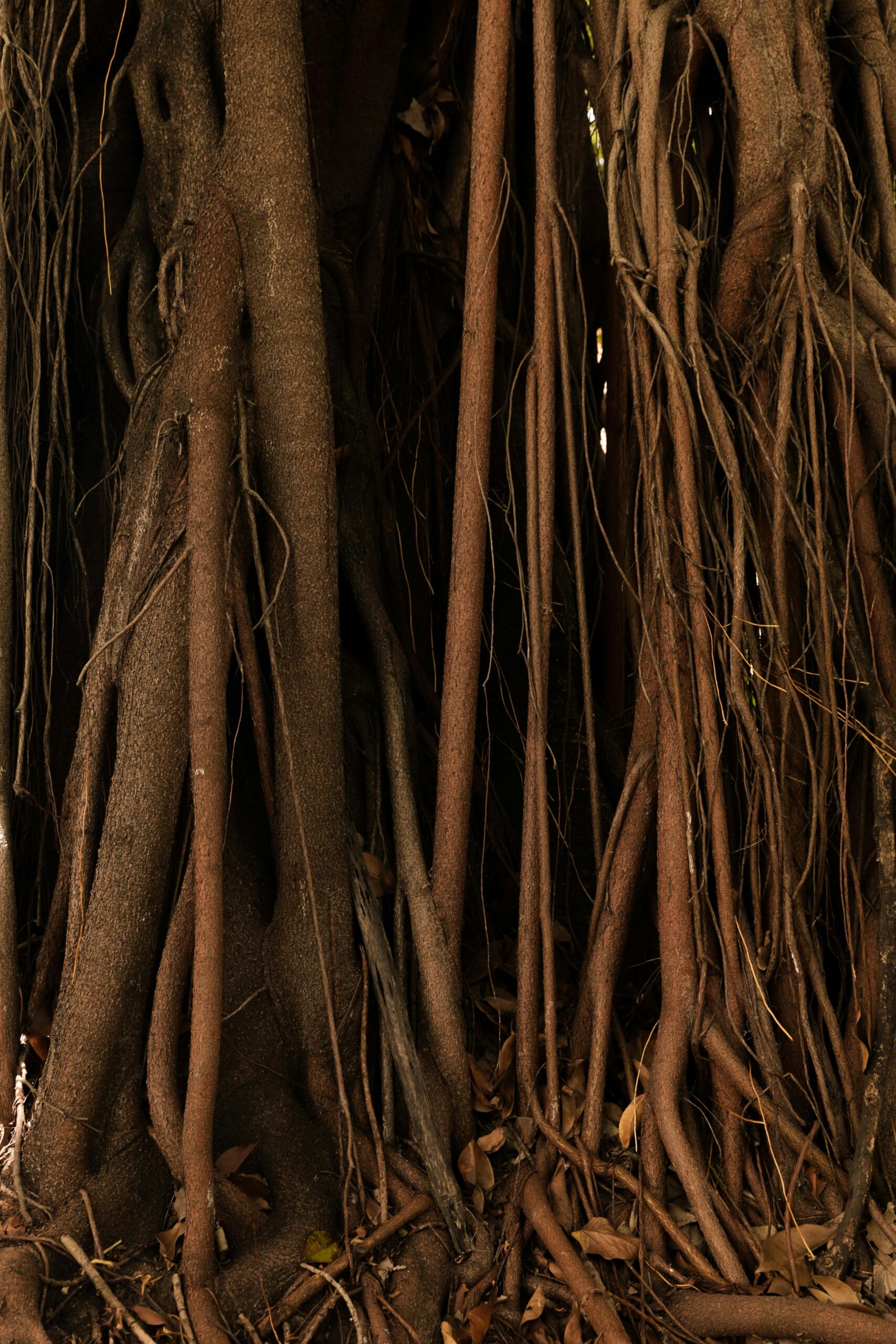 Natürliche Materialien und ruhige Atmosphäre in der Ayurveda-Praxis